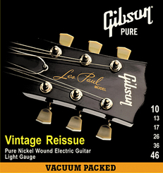 Gibson SEG VR10 stygos elektrinei gitarai